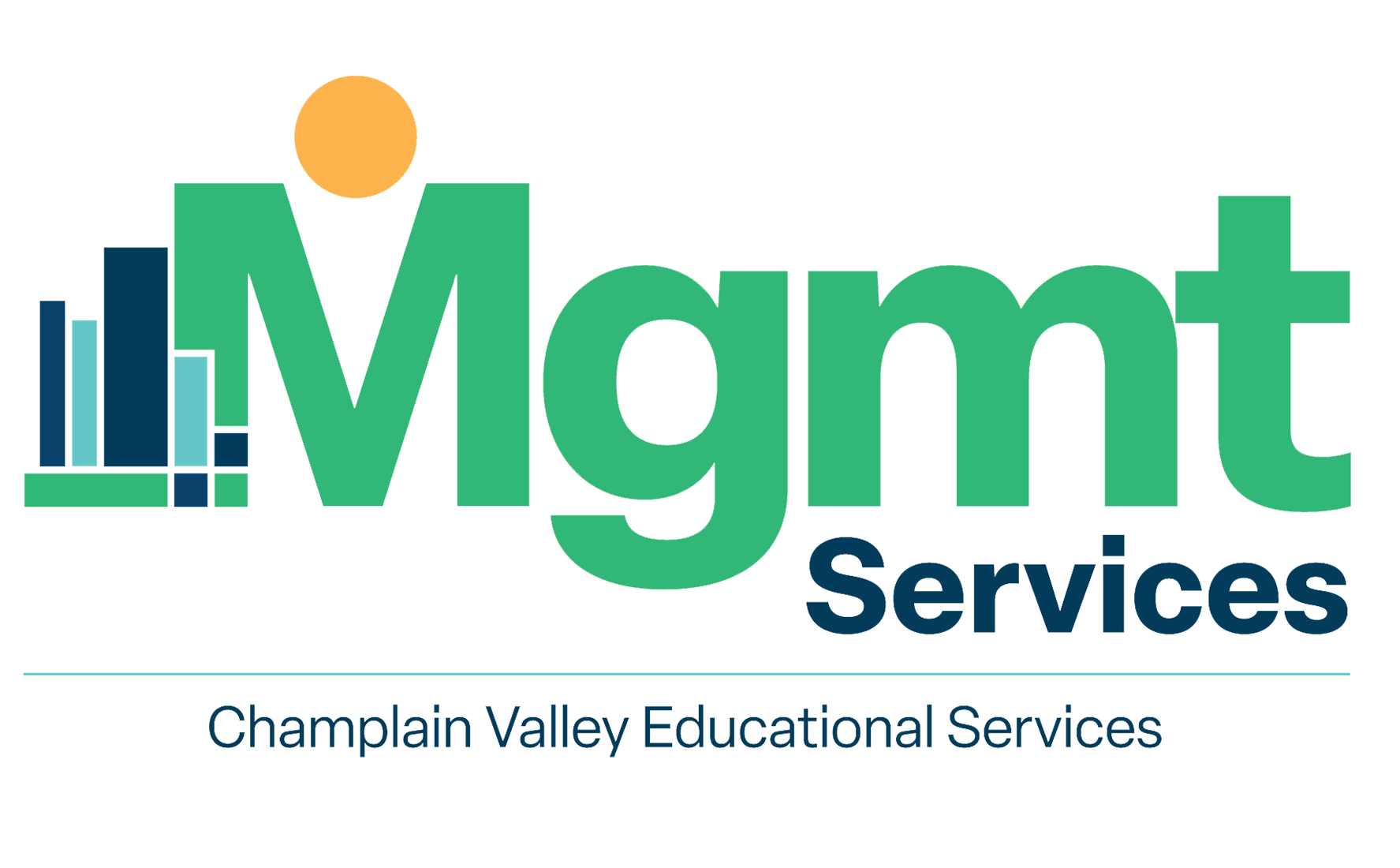 Management Services Logo